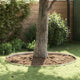 Vidaxx borde de jardín plateado 450 x 0,05 x 15 cm acero inoxidable