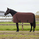 Coperta per cavallo VidaXL completamente in poliestere marrone scuro