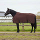 Coperta per cavallo VidaXL completamente in poliestere marrone scuro