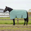 VidaXL coperta per cavallo speciale poliestere verde