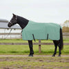 VidaXL coperta per cavallo speciale poliestere verde