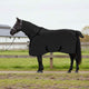 Coperta per cavallo Vidaxxl in poliestere nero