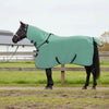 Vidaxl paardendeken speciale groen polyester