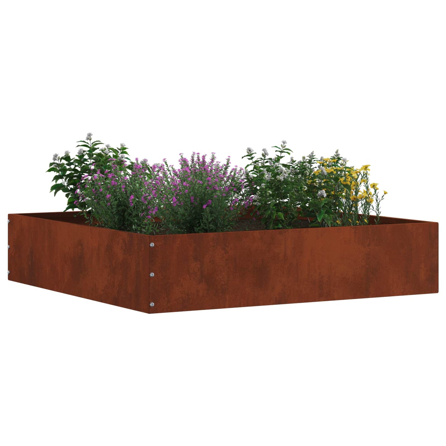 Vidaxl borde de jardín 6 piezas oxidado 60 x 60 x 13 cm acero corten