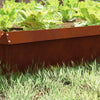 Puerta caracol vidaxl oxidada 100 x 3,5 x 25 cm acero corten