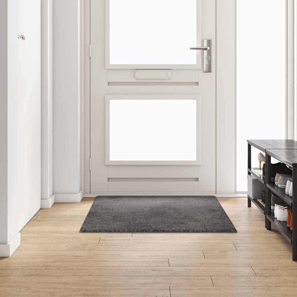 Alfombra de pasillo Vidaxx gris 100 x 150 cm 100% mechón de polipropileno