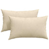 Vidaxl sofa kussens 2 pcs crème 50 x 30 cm stof