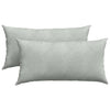 Vidaxl sofa kussens 2 stuks lichtgrijs 80 x 40 cm cordstof
