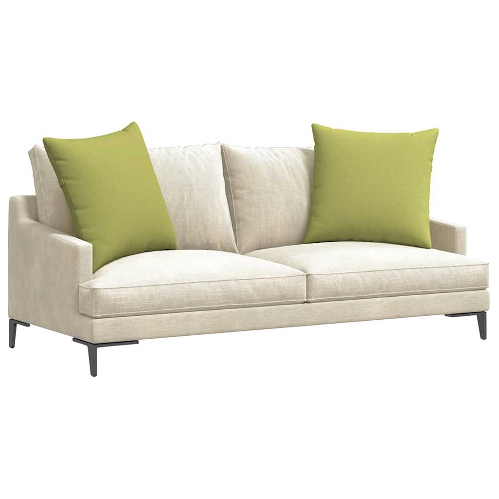 Vidaxl sofa kussens 2 pcs lichtgroen 60 x 60 cm stof