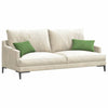 Vidaxl sofa kussens 2 stuks lichtgroen 50 x 30 cm cordstof