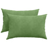 Vidaxl sofa kussens 2 stuks lichtgroen 60 x 40 cm cordstof