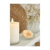 Ideas for seasons glazen schaaltjes helder set a 4 ø10cm