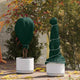 Vidaxx protezione antigelo per piante in tessuto non tessuto verde 20 x 1,6 m