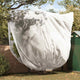 Vidaxl vorstbescherming plantenfleece covers 3 pcs wit 3,5 x 3,93 m