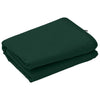 Vidaxl vorstbescherming plantenfleece covers 3 pcs groen 2,4 x 2 m