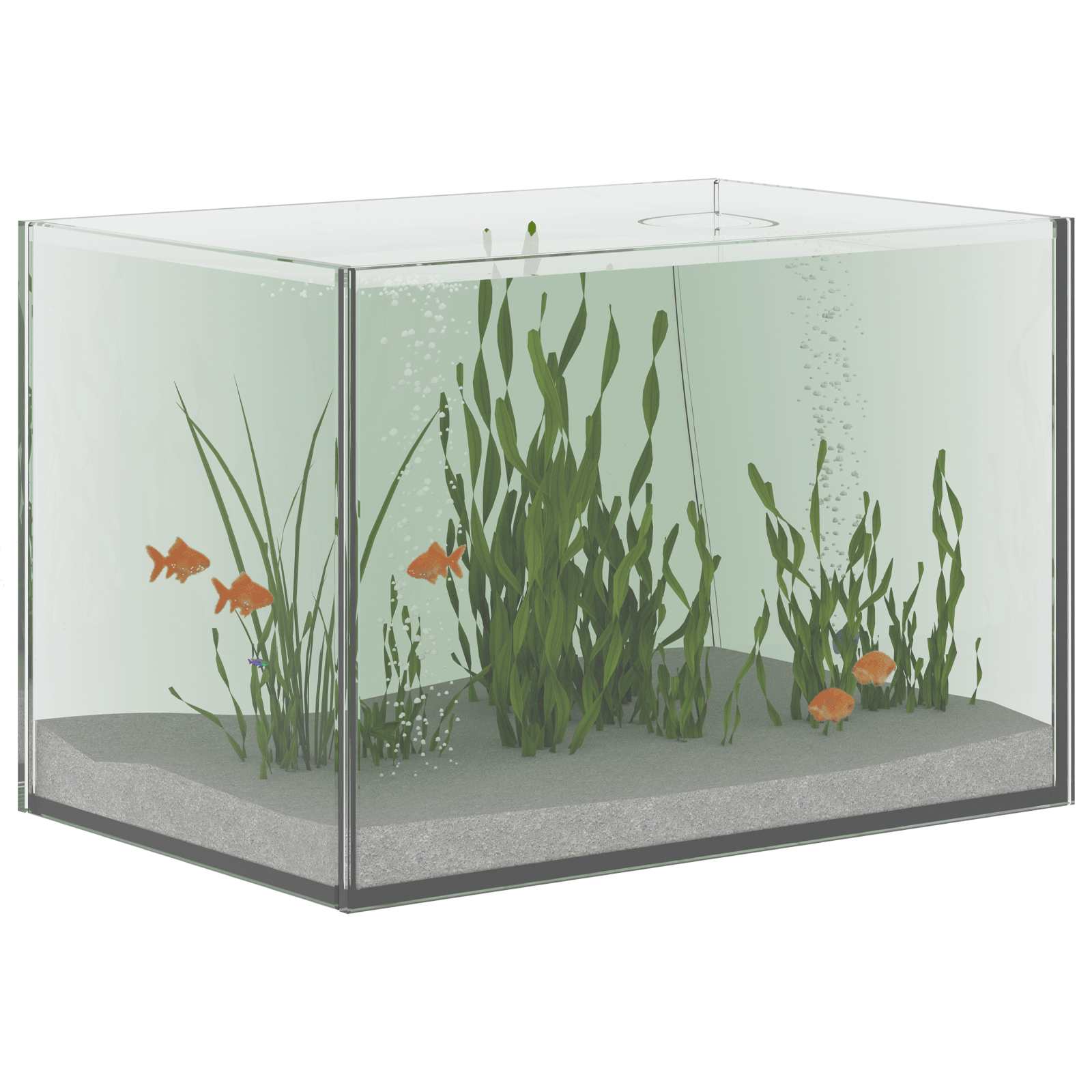 Acquario Vidaxx con contenitore in vetro trasparente 30 x 20 x 20 cm
