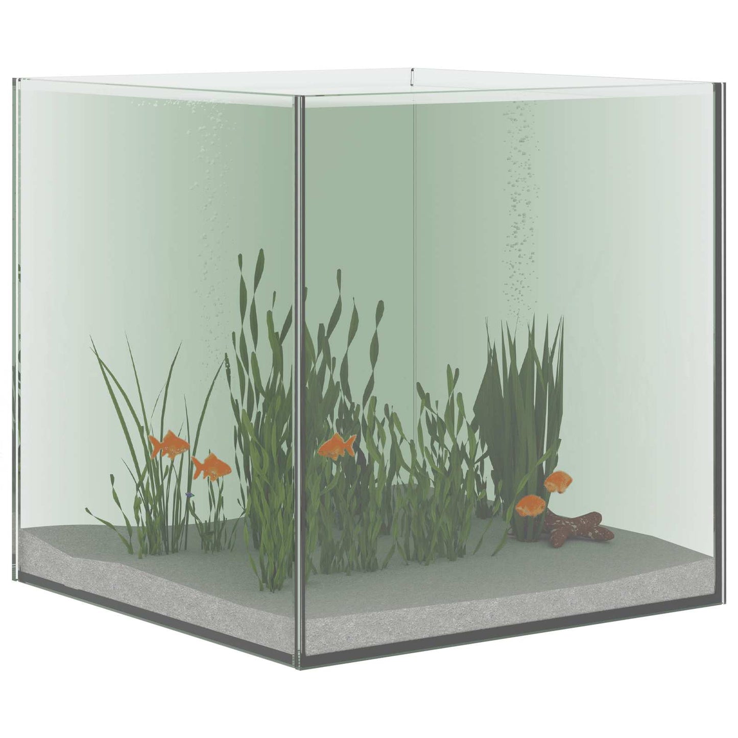 Vidaxl aquarium met opslag doorzichtig 30 x 30 x 30 cm glas