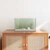 Acquario Vidaxx con contenitore in vetro trasparente 40 x 25 x 25 cm