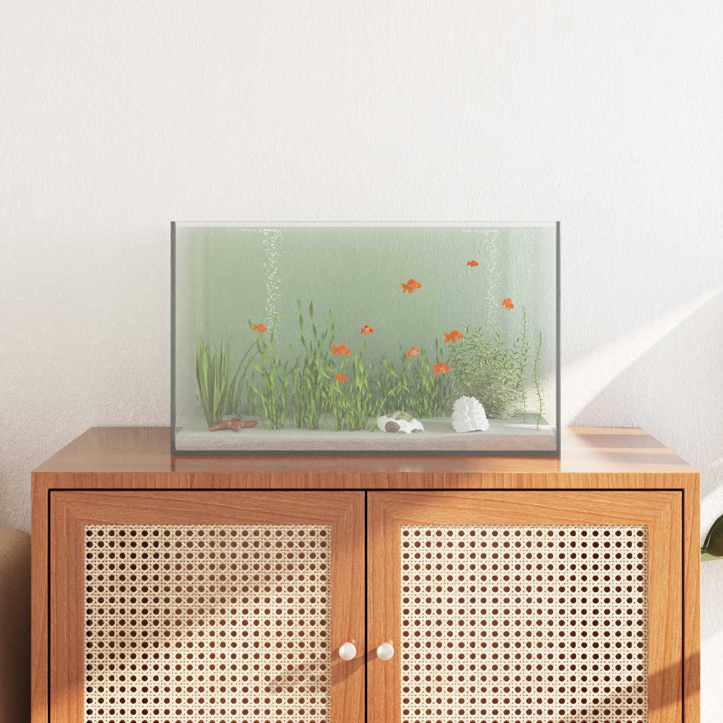 Acquario Vidaxx con contenitore in vetro trasparente 50 x 30 x 30 cm