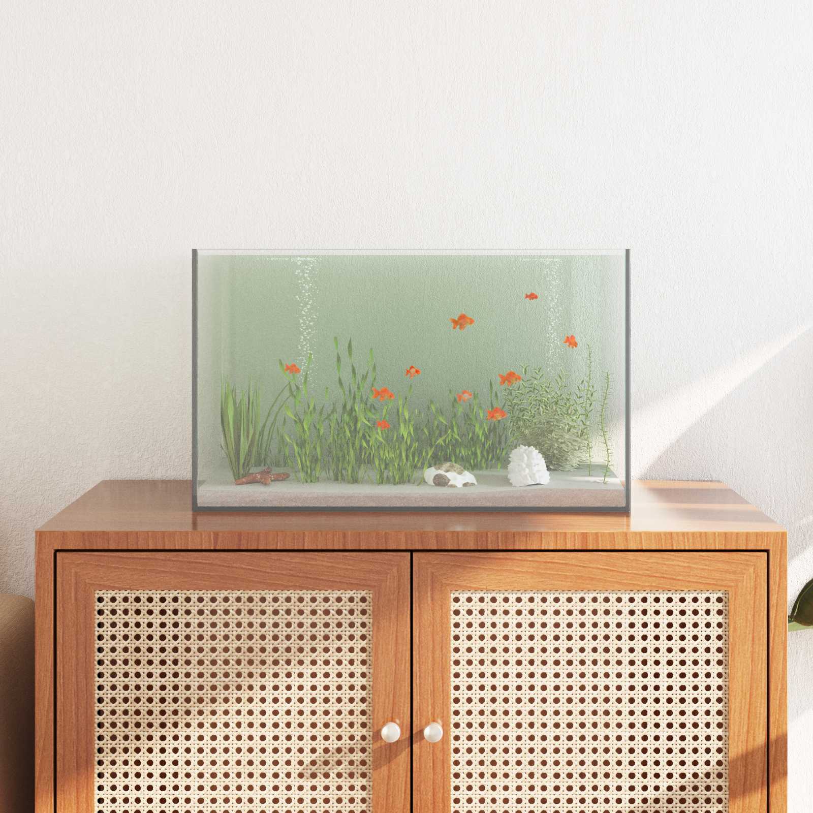 Acquario Vidaxx con contenitore in vetro trasparente 50 x 30 x 30 cm