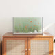 Acquario Vidaxx con contenitore in vetro trasparente 50 x 30 x 30 cm