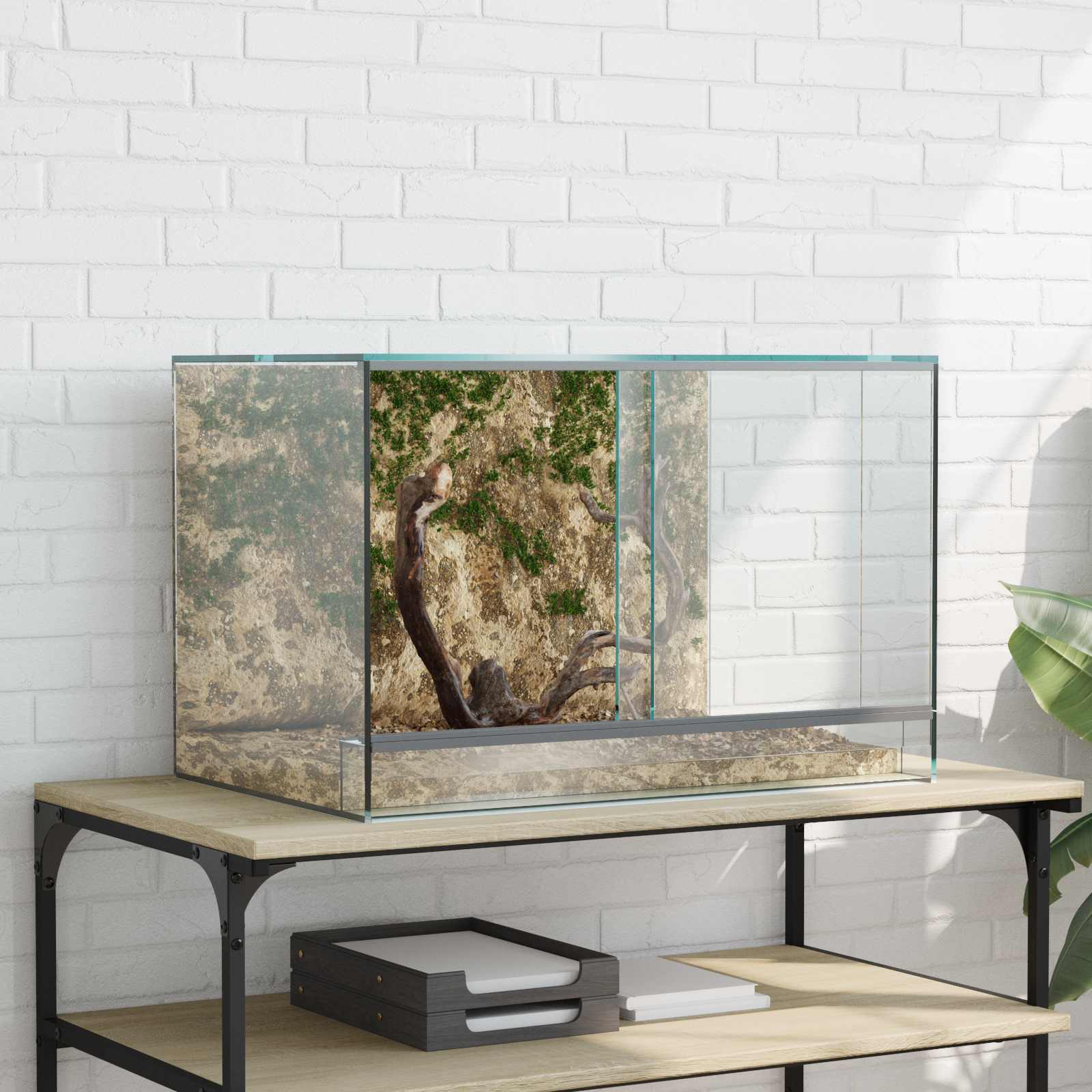Vidaxl terrarium met opslag doorzichtig 60 x 40 x 40 cm glas