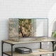 Vidaxl terrarium met opslag doorzichtig 60 x 40 x 40 cm glas