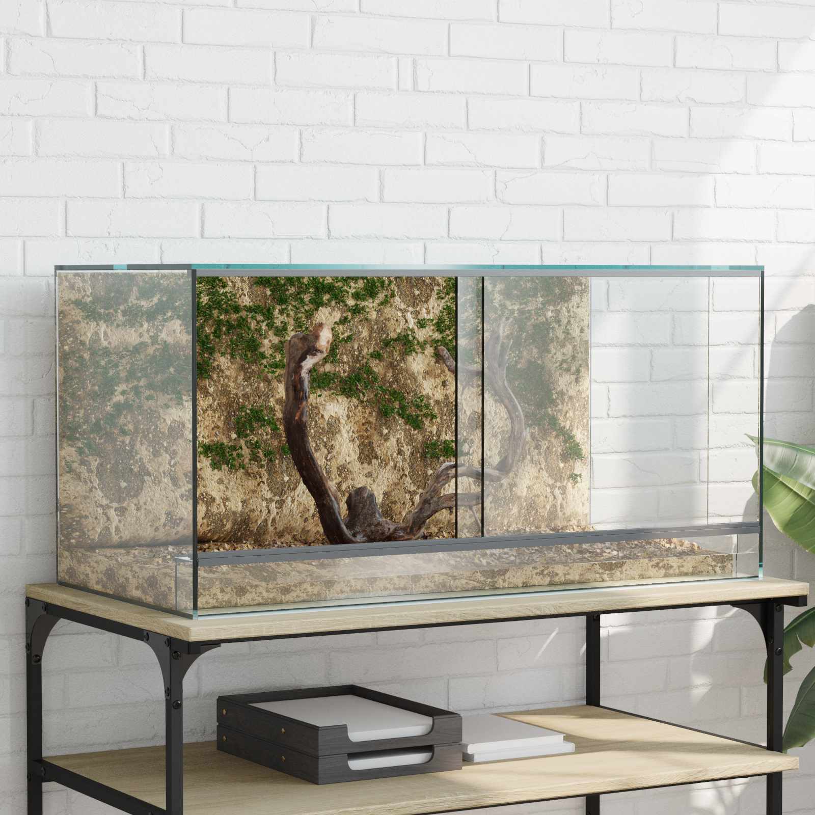 Vidaxl terrarium met opslag doorzichtig 80 x 40 x 40 cm glas