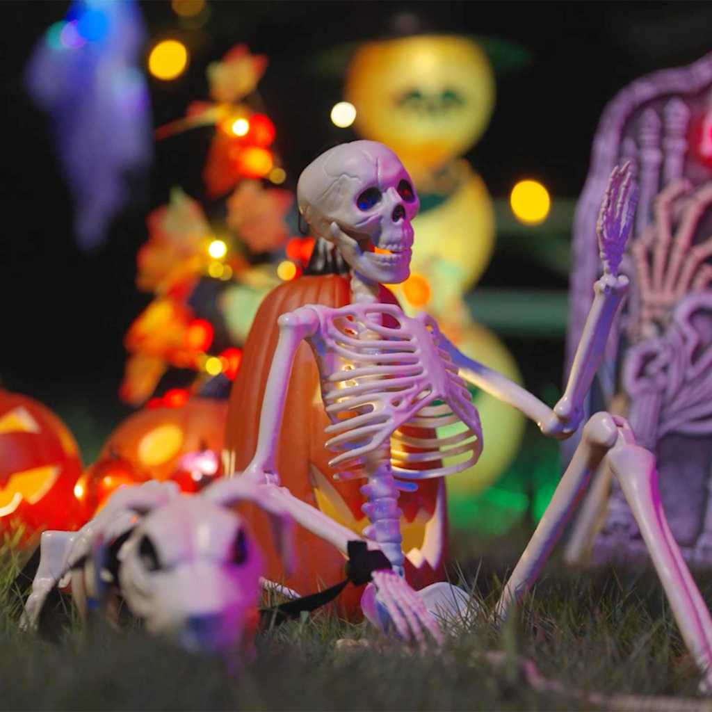 Vidaxl decorazione halloween scheletro 2 pezzi in polipropilene bianco