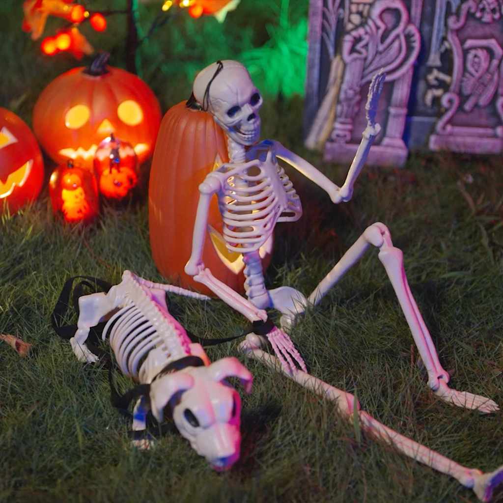 Vidaxl halloween decoratie skelet 2 pcs wit polypropyleen