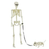 Vidaxl decorazione halloween scheletro 2 pezzi in polipropilene bianco