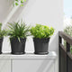 Vidaxx macetero redondo 6 piezas negro ø 19 x 16 cm plástico