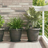 Vidaxl floreros redondos 6 piezas negro ø 14 x 2 cm plástico
