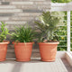 Vidaxl ronde bloemenschalen 24 pcs baksteenrood ø 23,5 x 2,5 cm