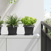 Vidaxx macetero cuadrado 6 piezas negro 20 x 20 x 16 cm plástico