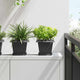 Vidaxx macetero cuadrado 6 piezas negro 20 x 20 x 16 cm plástico