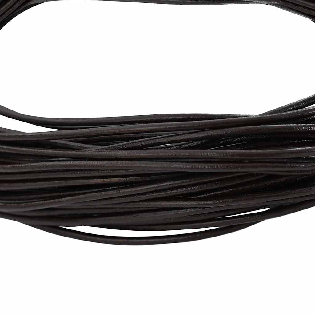 Vidaxl leren koord donkerbruin ø1 mm x 5 m leer