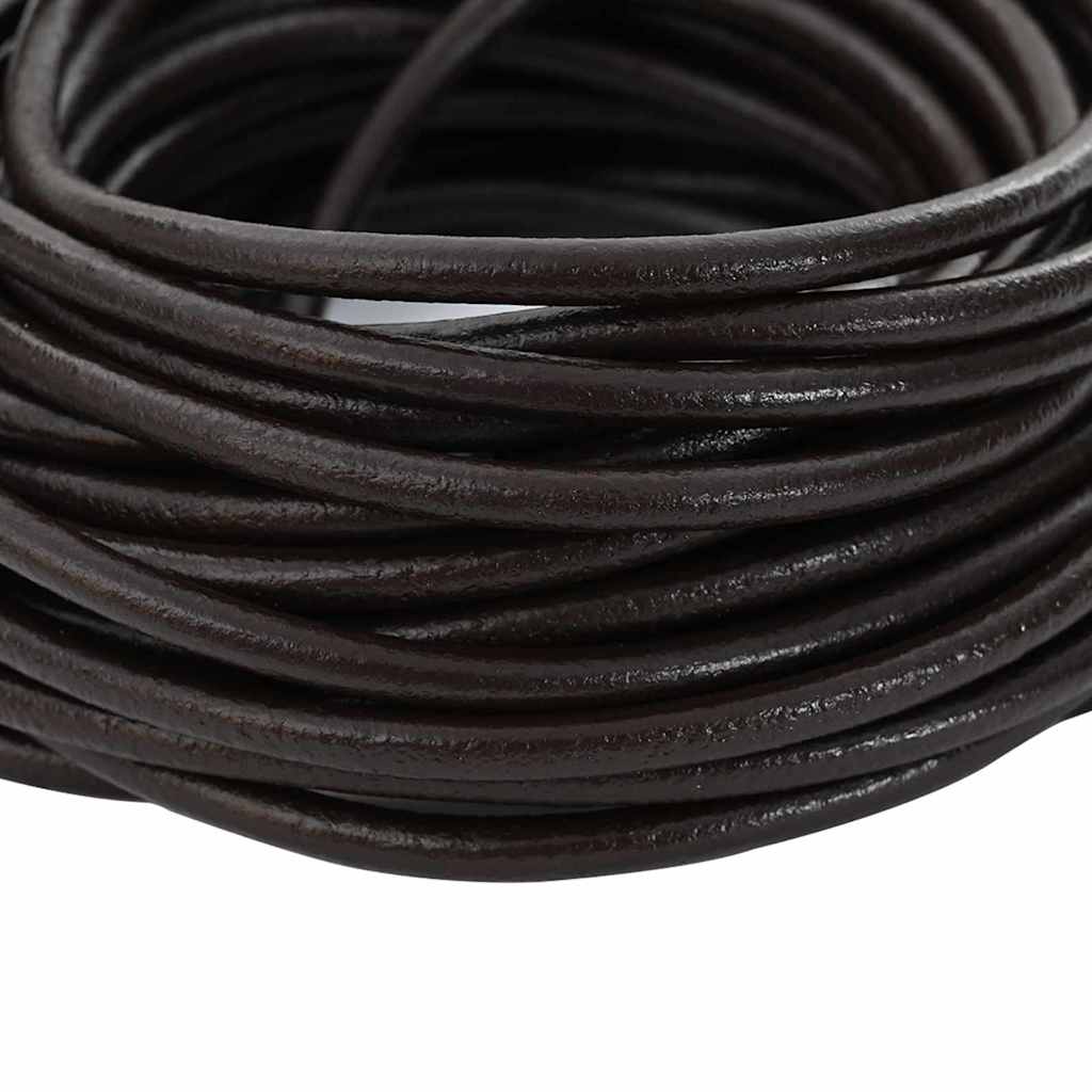 Vidaxl leren koord donkerbruin ø4 mm x 10 m leer