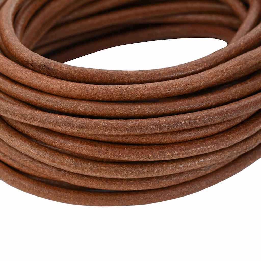 Vidaxl leren koord licht bruin ø5 mm x 50 m leer