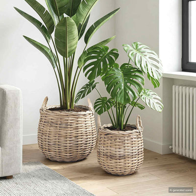 Cesta para plantas vidaxl con almacenamiento 2 piezas mimbre lacak gris