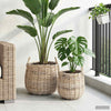 Vidaxl plantermand met opslag 2 pcs grijs lacak riet