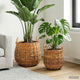 Vidaxl plantermand met opslag 2 pcs bruin lacak riet