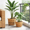 Vidaxl cesto portafiori con contenitore, 2 pezzi, kubu rattan marrone