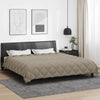 Vidaxl edredón de invierno gris claro 220 x 260 cm microfibra