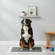Vidaxxl almohadilla de adiestramiento para mascotas de tela no tejida 50uds 120 x 80 cm