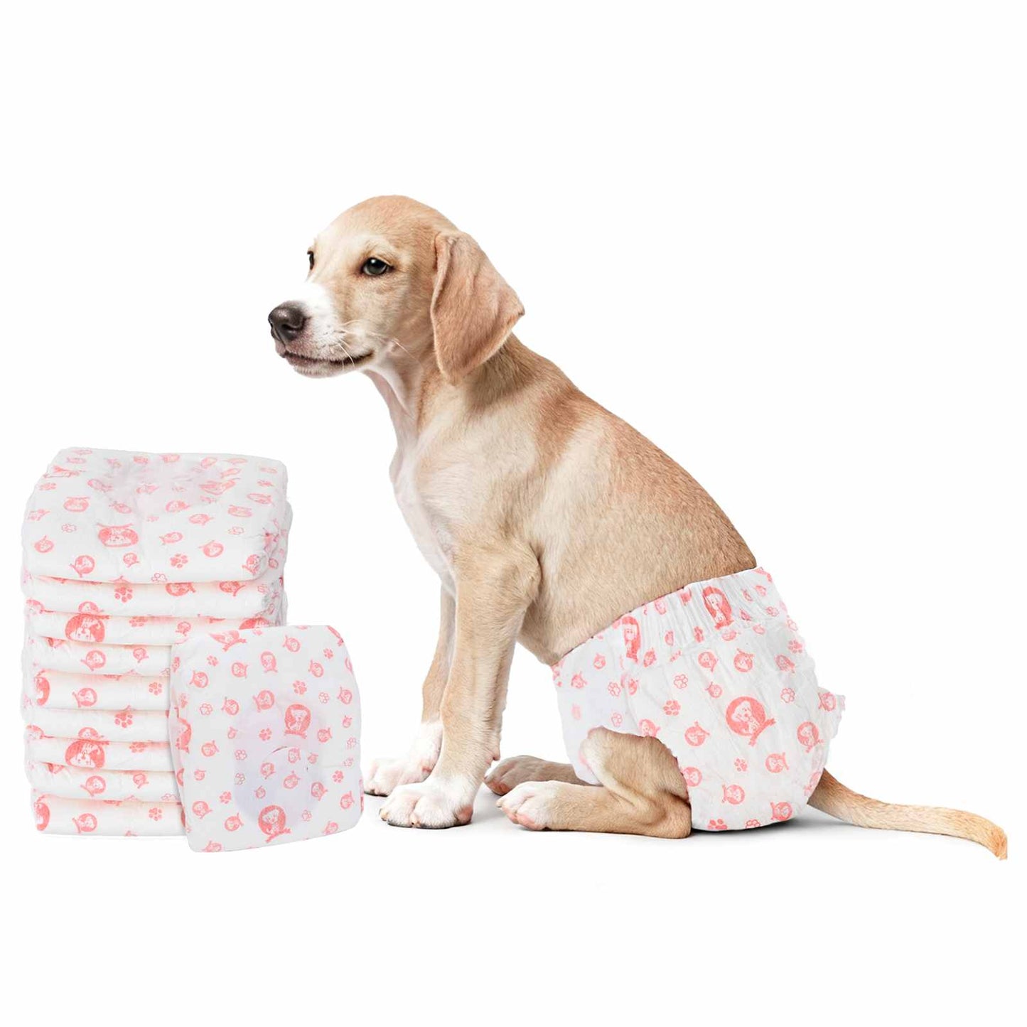 vidaXL pañal desechable para perros hembra 30uds blanco s