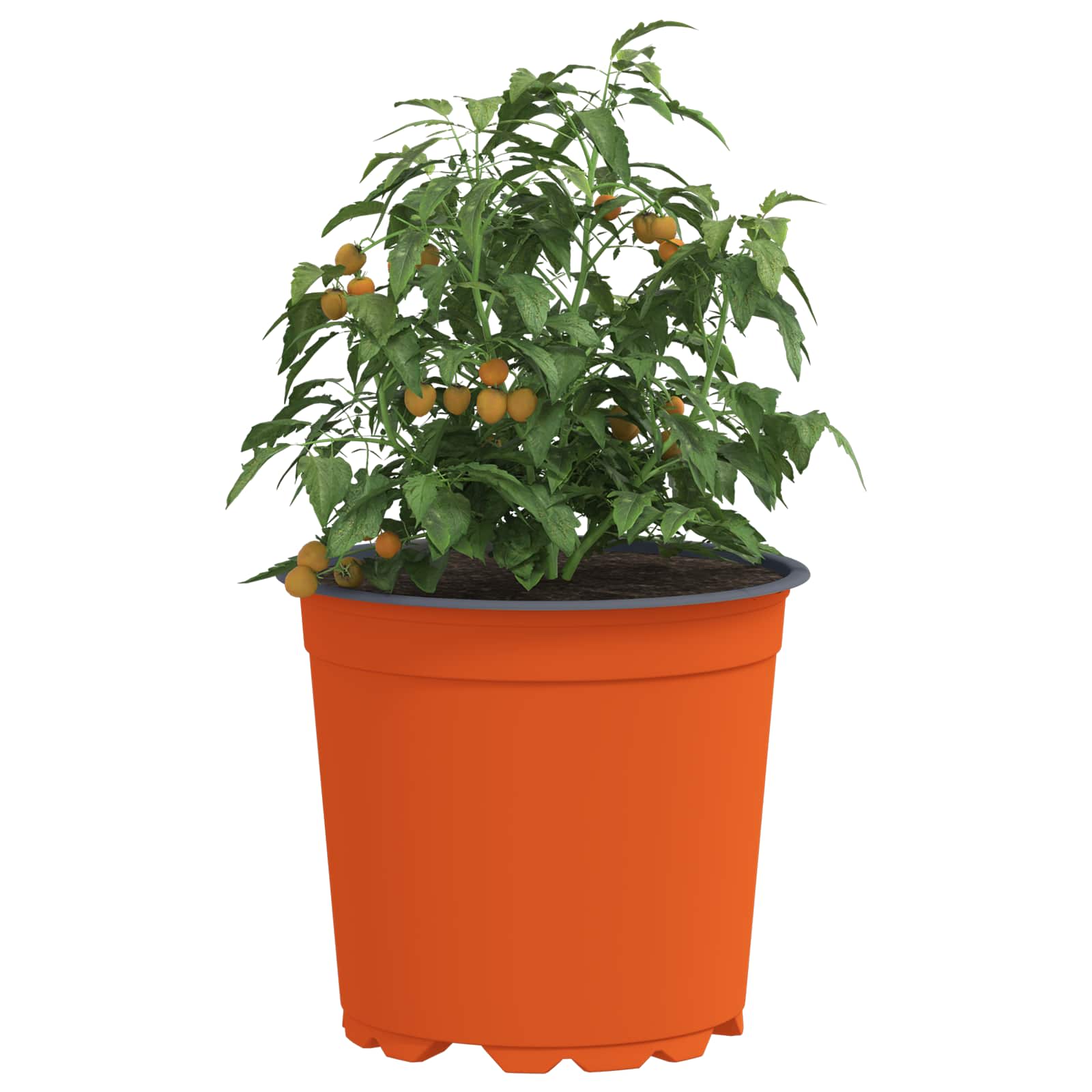 Vidaxl bloempot 200 pcs terracotta ø 15 x 13 cm kunststof