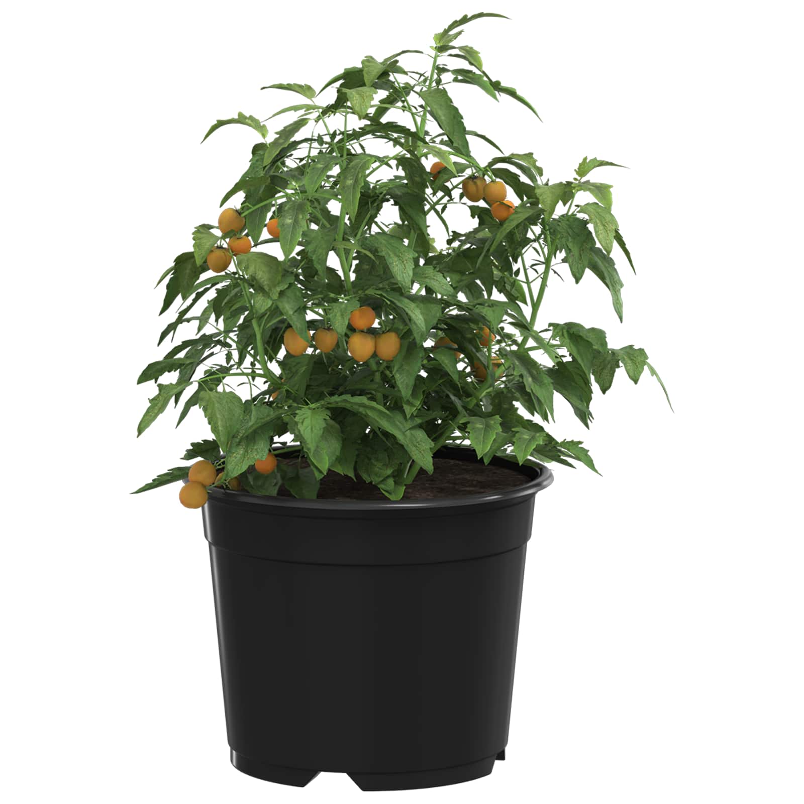 Vidaxx macetero 100 piezas negro ø 15 x 12,5 cm plástico