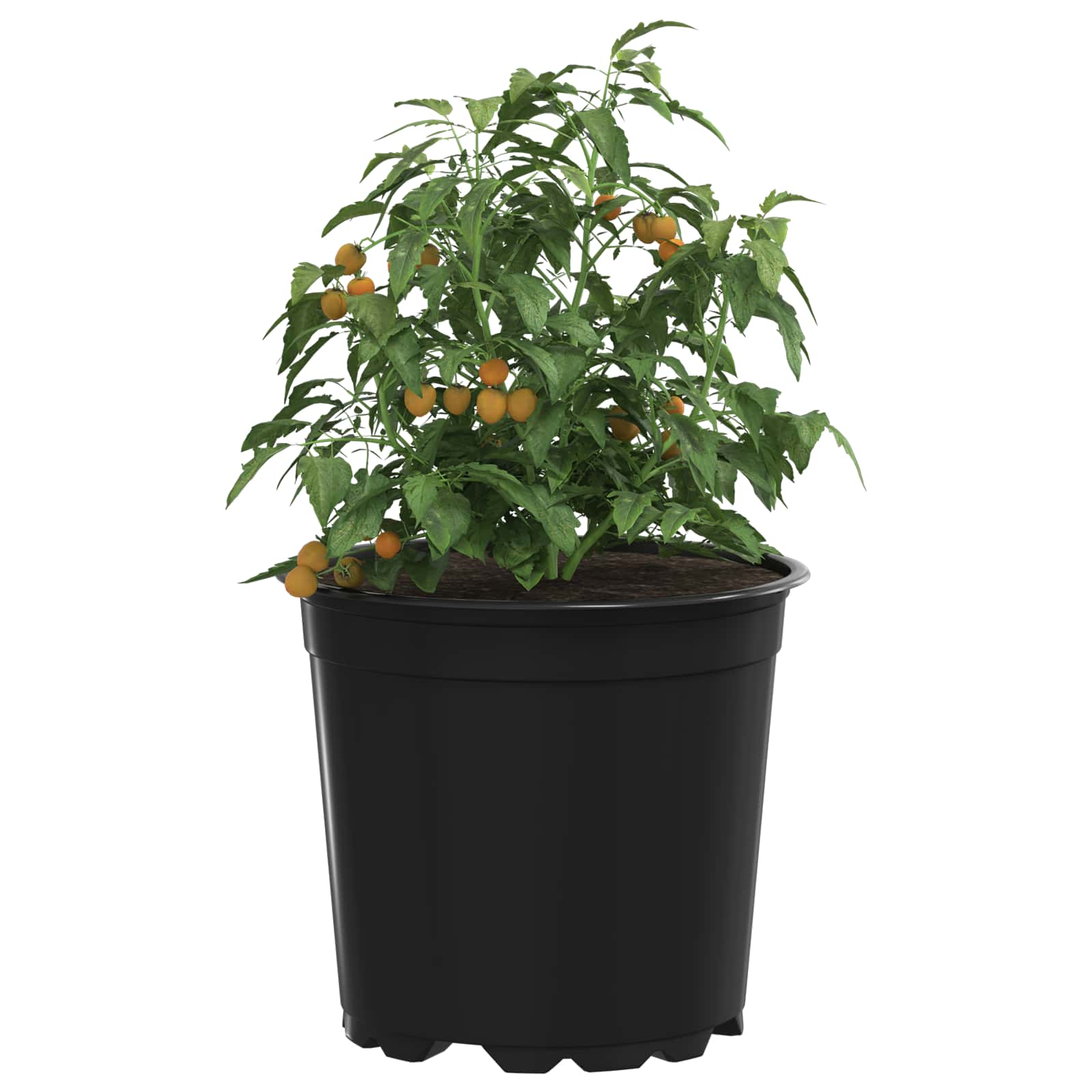 Vidaxx macetero 100 piezas negro ø 15 x 13 cm plástico