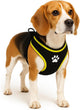 Arnés para perros Flamingo – arnés para perros – arnés para perros antitirones – arneses para perros – arnés para perros antitirones – step go tasha – negro – talla m – a:53cm w:65-75cm x 20mm x 5mm